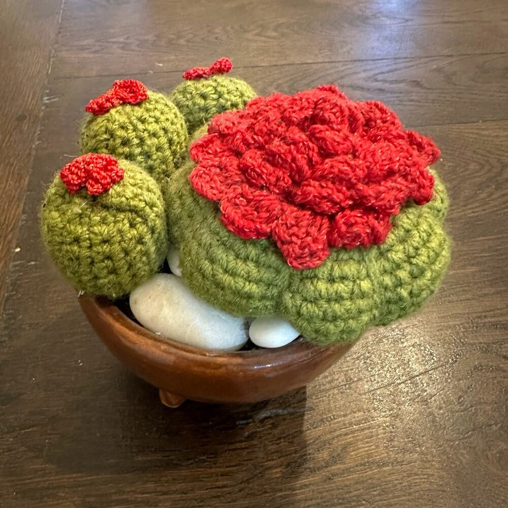 Crochet Cactus